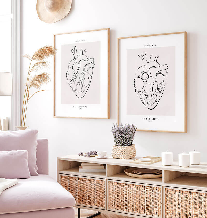 Heart anatomy poster 