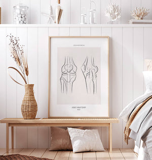 Anatomical knee poster by codex anatomicus