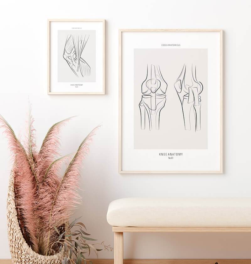 Knee anatomy art print - Codex Anatomicus