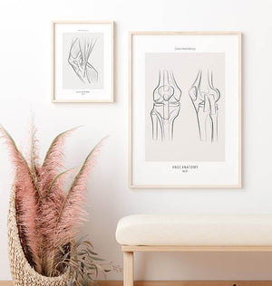 Knee anatomy art print by codex anatomicus