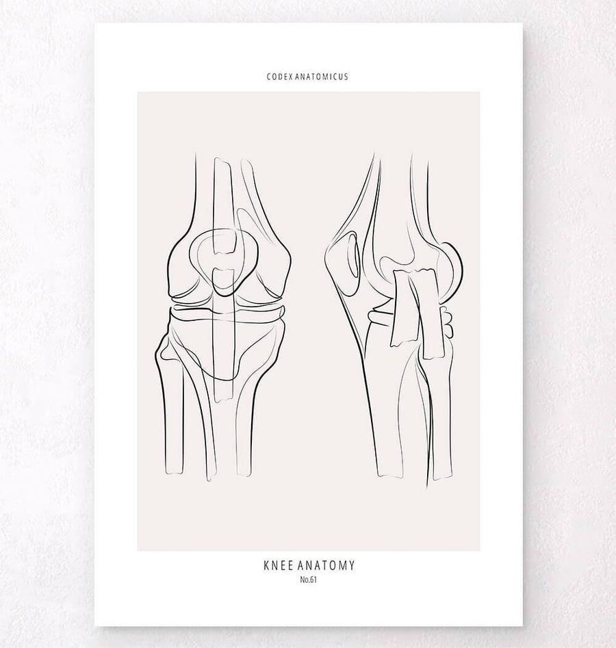 Knee Joint Concept Sketch - Amanda Barnaby