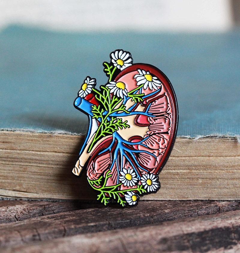 Anatomical kidney enamel pin - Codex Anatomicus
