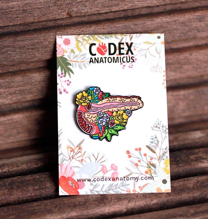 Anatomical pancreas enamel pin - Codex Anatomicus