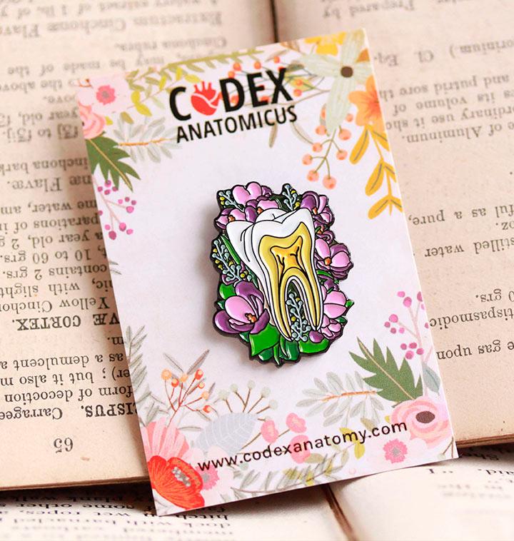 Tooth anatomy pin