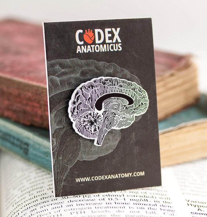 Anatomical Brain Enamel Pin Codex Anatomicus