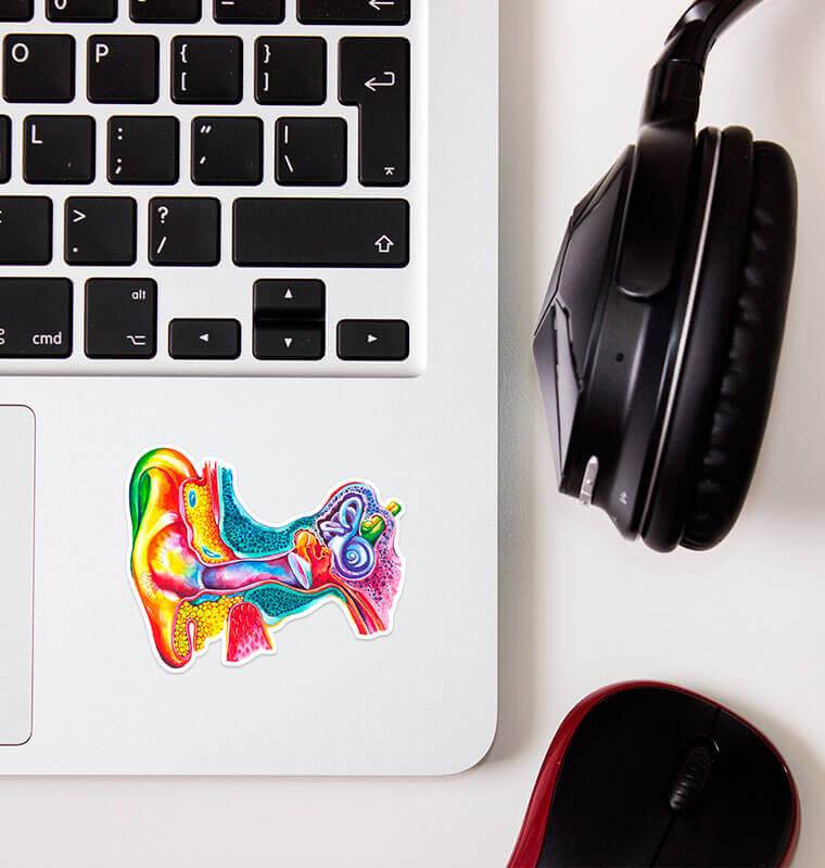 Ear anatomy sticker - Codex Anatomicus