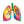 Load image into Gallery viewer, Lungs sticker
