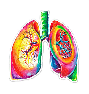 Lungs sticker