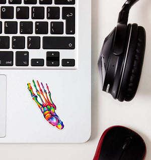 watercolor foot anatomy sticker by codex anatomicus