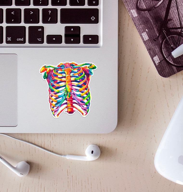 Rib cage anatomy sticker - Codex Anatomicus
