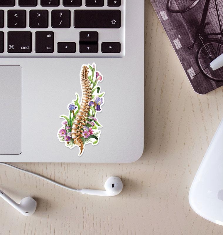 Spine anatomy sticker - Codex Anatomicus