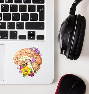 floral brain anatomy sticker by codex anatomicus