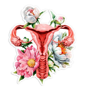 Anatomical uterus sticker
