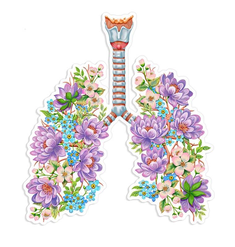 Lungs anatomy sticker
