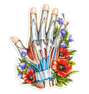 Hand anatomy sticker - Nurse Gift - Codex Anatomicus