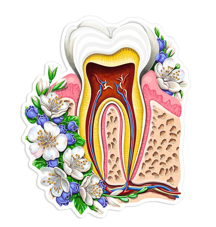 Tooth sticker