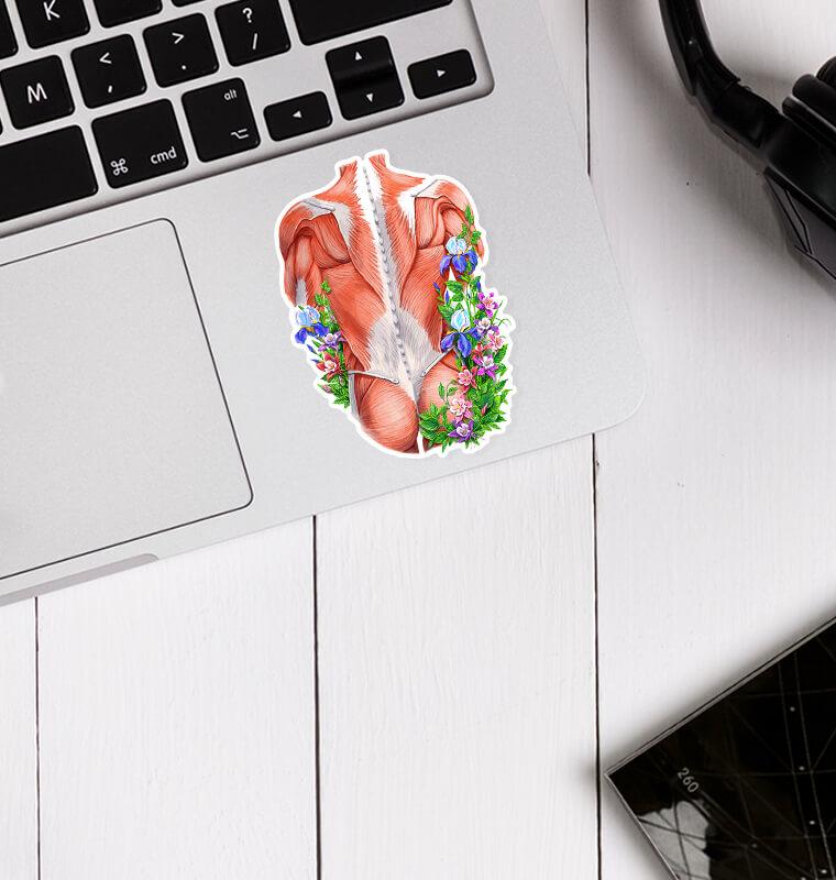 Back muscles anatomy sticker - Floral