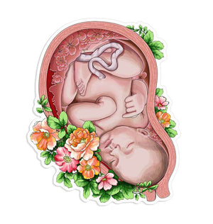 Fetus sticker