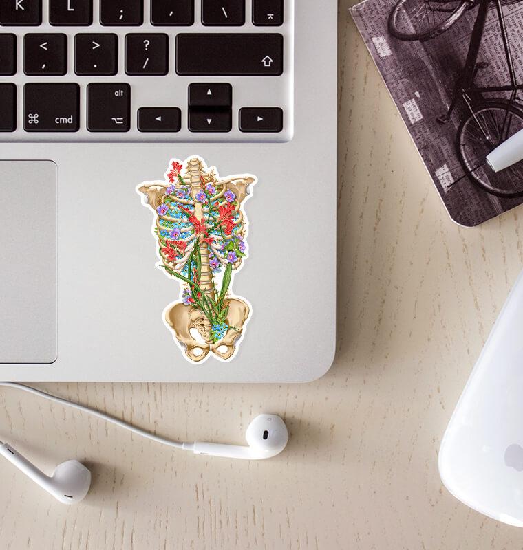 Rib cage anatomy sticker - Codex Anatomicus