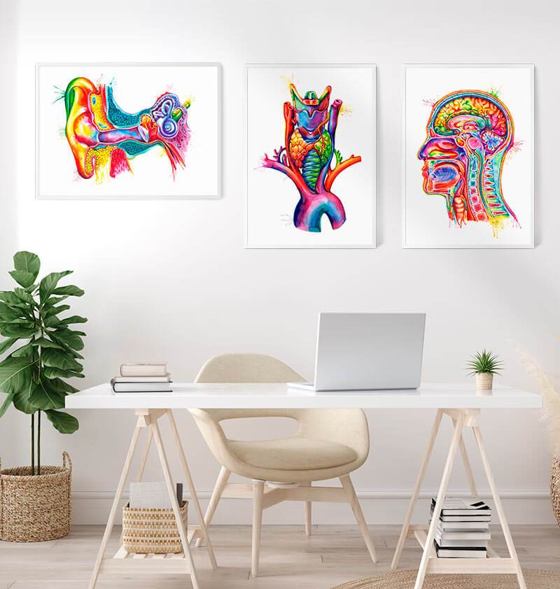 Ear anatomy art print - Watercolor - Codex Anatomicus