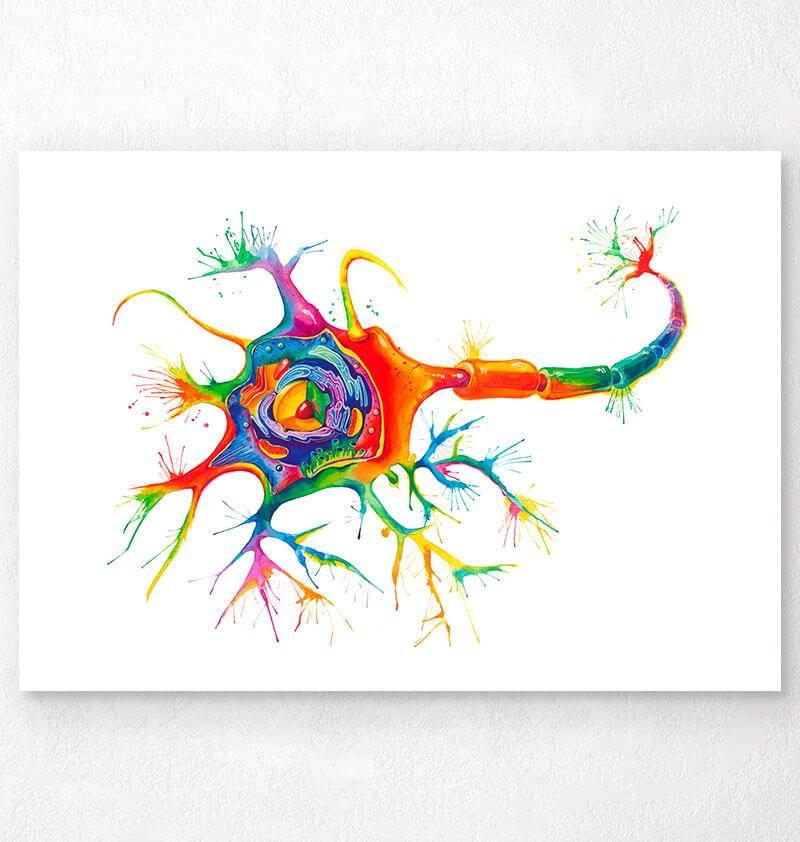 Neuron Schilderij Poster Diagram Of Neuron Anatomy – Wall Art