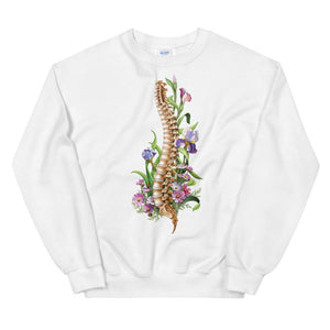 white spine anatomy sweatshirt for doctors and medical students by codex anatomicus