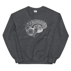 Brain I Unisex Sweatshirt - Chalkboard